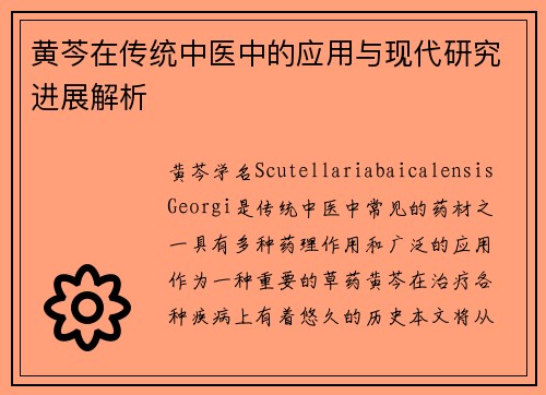黄芩在传统中医中的应用与现代研究进展解析